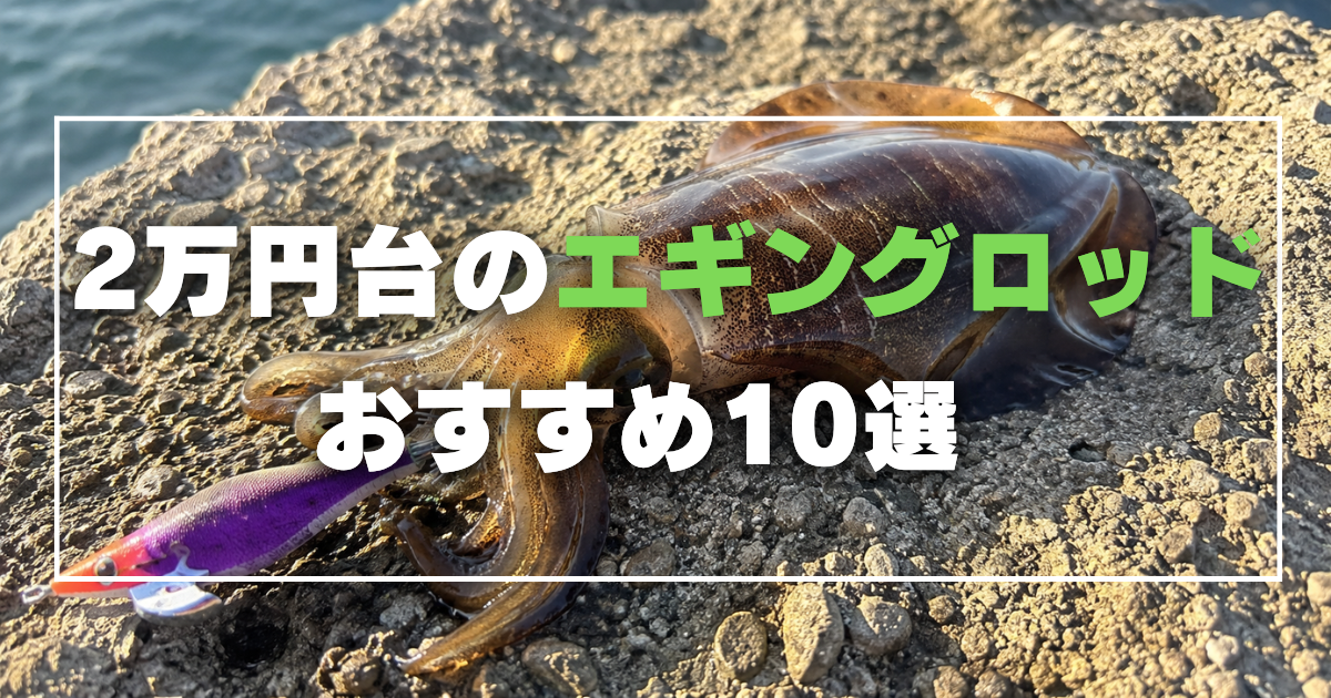 最強】2万円台のおすすめエギングロッド10選！各ロッドを徹底比較